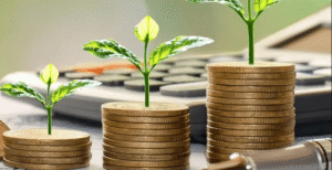 How Funding Accelerates Ecosystem Growth